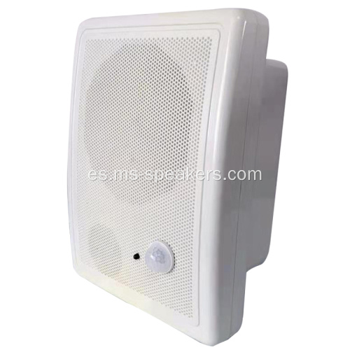 Altavoces de inducción de inducción infrarroja en la pared